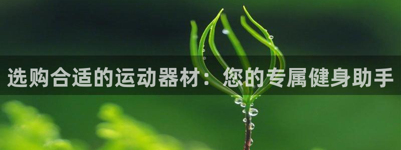 征途国际开户：选购合适的运动器材：您的专属健身助手