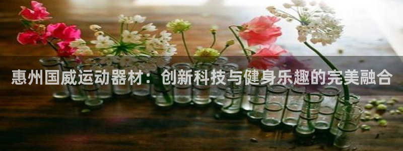 征途国际招商电话地址是多少：惠州国威运动器材：创新科技与健身