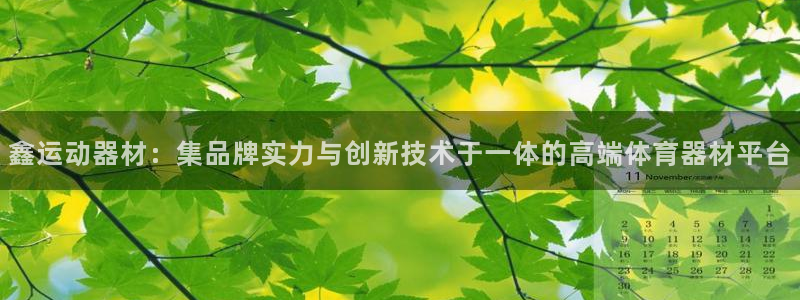 海南征途国际发展怎么样：鑫运动器材：集品牌实力与创新技术于一
