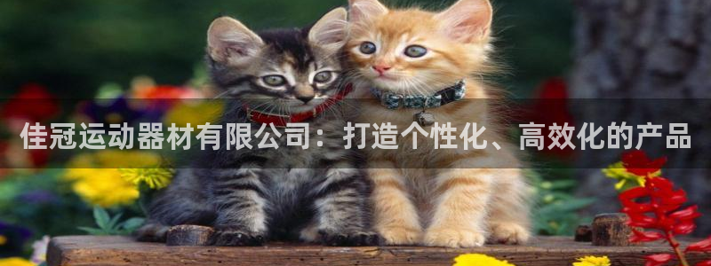 征途国际娱乐：佳冠运动器材有限公司：打造个性化、高效化的产品