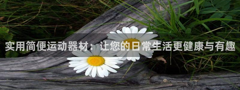 征途国际招商