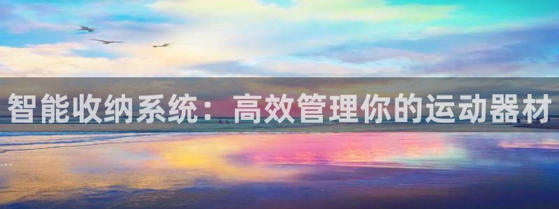 征途国际集团官网首页：智能收纳系统：高效管理你的运动器材