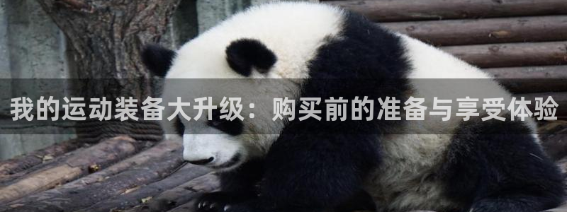 征途国际平台是正规平台吗：我的运动装备大升级：购买前的准备与