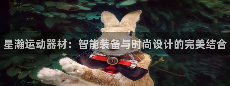 征途国际集团logo
