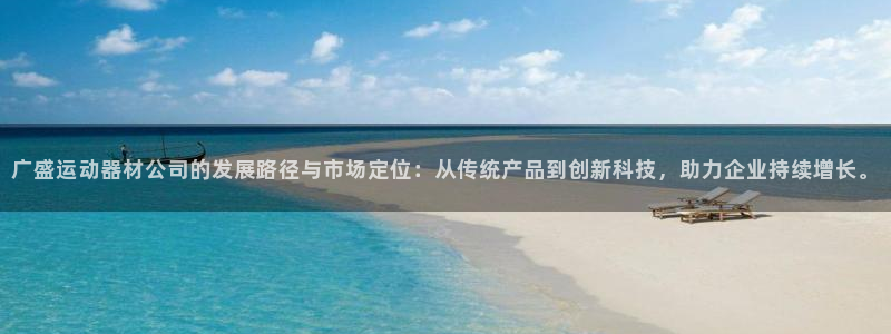 征途国际集团简介