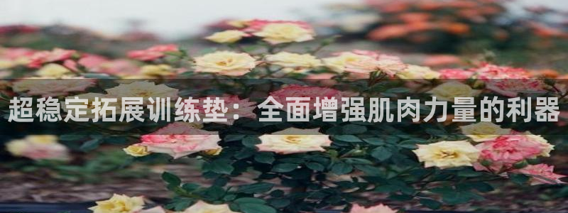 征途国际开户