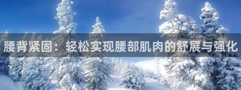 征途国际集团简介