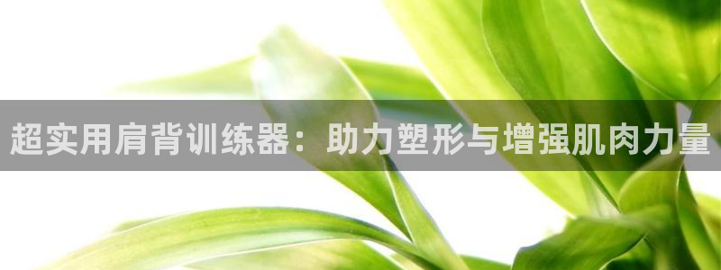 征途国际娱乐首页网站大全