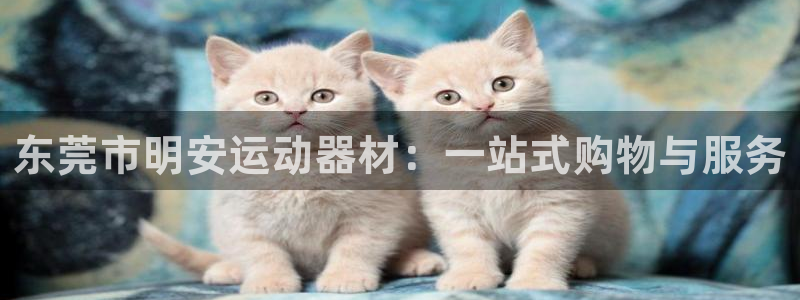 海南征途国际：东莞市明安运动器材：一站式购物与服务