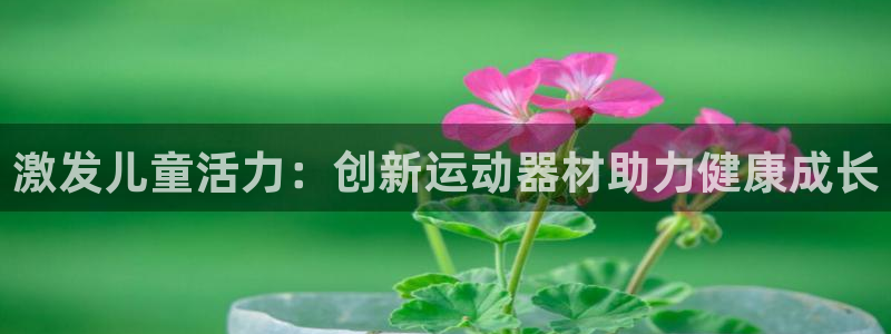 征途国际平台：激发儿童活力：创新运动器材助力健康成长
