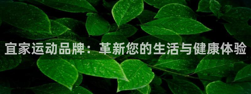 征途国际平台体育：宜家运动品牌：革新您的生活与健康体