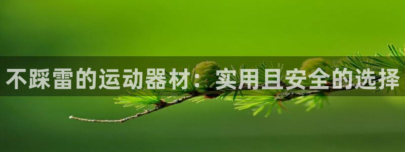 征途国际注册：不踩雷的运动器材：实用且安全的选择