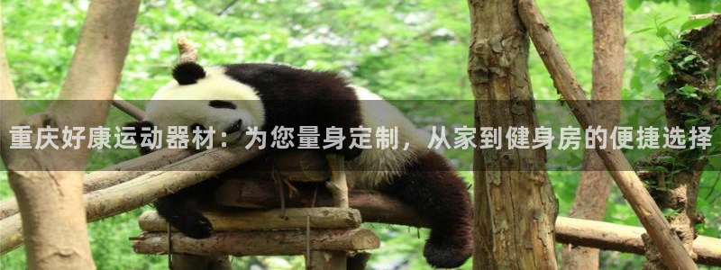 征途国际招商电话是多少号码：重庆好康运动器材：为您量