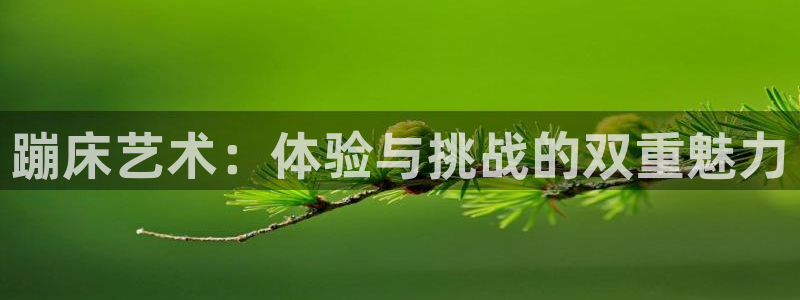 征途国际平台注册流程视频：蹦床艺术：体验与挑战的双重魅力