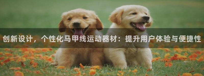 征途国际平台注册要钱吗